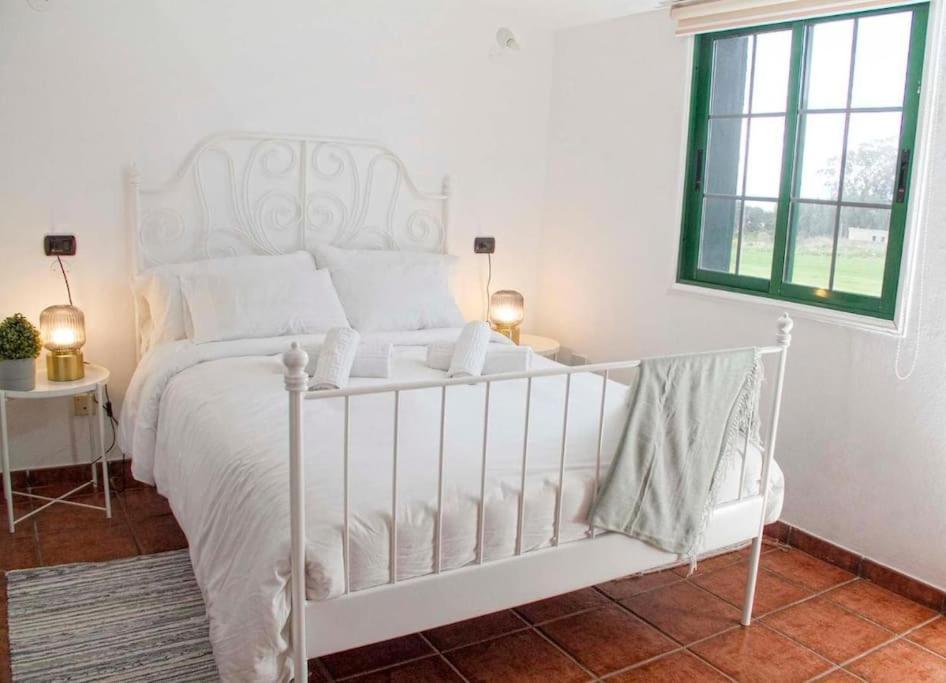 Villa La Macadamia à La Laguna  Extérieur photo